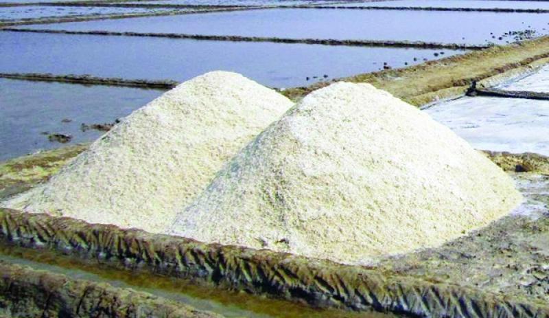 Govt plans to import 5 lakh metric tonnes crude salt
